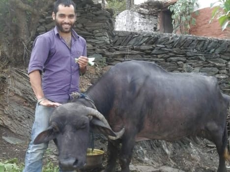 special and rare buffalo