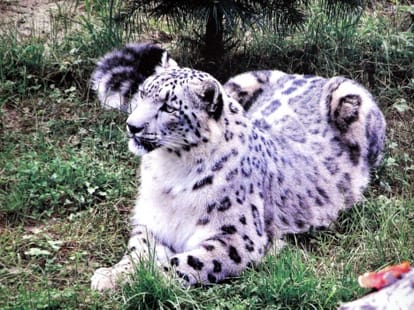 Great Himalayan National Park get World Heritage status