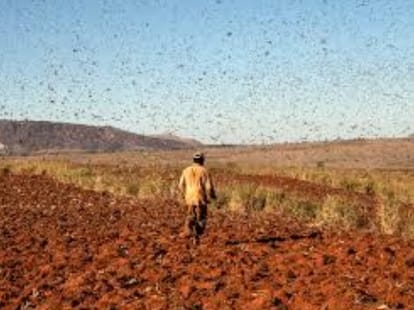 The farmer set fire to themselves buried in debt