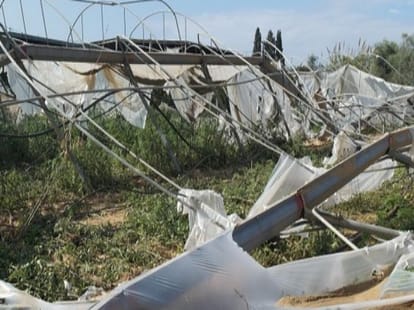 The farmer set fire to themselves buried in debt
