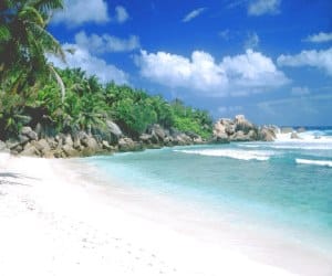 Special Tour Package for Goa, Darjiling