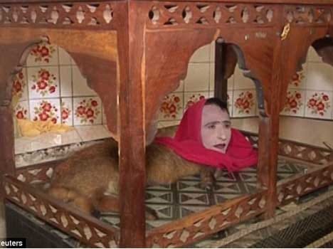 half lady haly fox