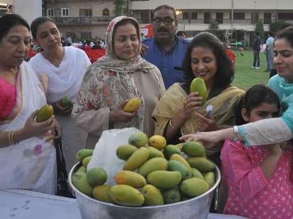 Mango Mela at Pinjore Garden