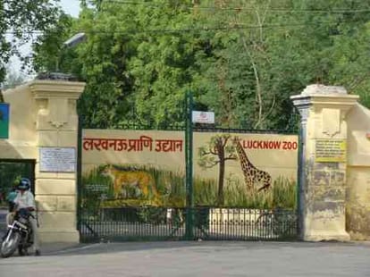 short term adoptation policy in lucknow Zoo