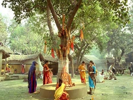 why people worship peepal tree on saturday