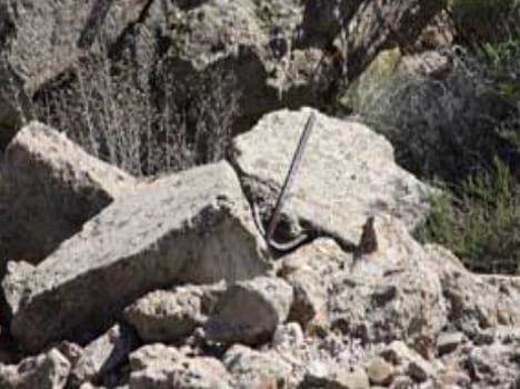 falling  industry's wall at himachal three died