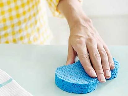 suspected places of germs at home