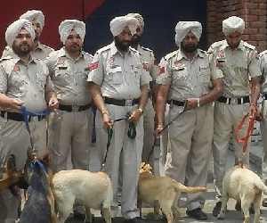 Comprehensive reshuffle in UT police after allegations of corruption 