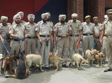 exclucive story of drugs rackat in punjab