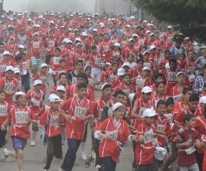 Shimla Half Marathon, Roma and jitendra become champion