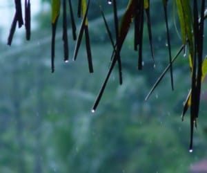 news regarding monsoon in jammu kashmir