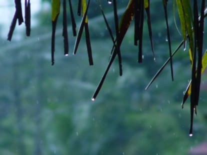 weak monsoon creates danger for uttarakhand