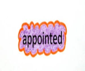 Eight probationer HAS appointed as BDO
