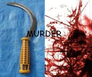 girl killed her aunty