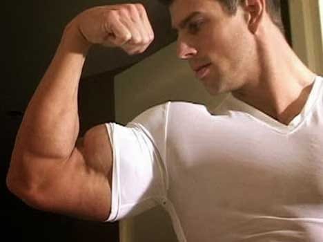 protein in each meal increase muscles
