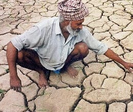 Reflecting, impact, drought, farmers, worried