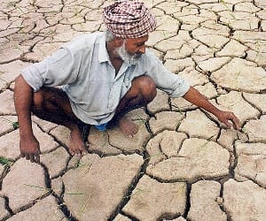 Problems due to late mansoon
