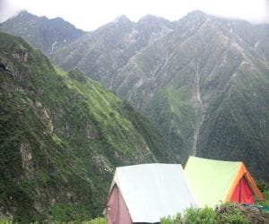 HP govt will change rule of purchasing land in himachal