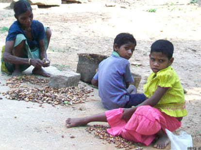 jharkhand pds promises