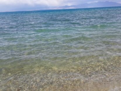 country first jellyfish lake discovered