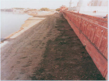 government not intrested cleaning yamuna river