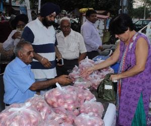 sociaty sale at reasonable rate potato and onion
