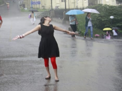 rain forecast from bird and animal