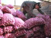 Vegetable prices hike in faridabad.
