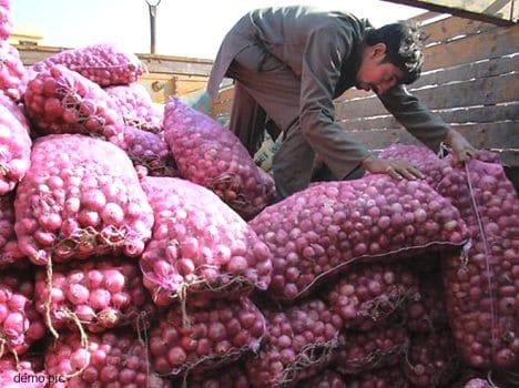 sociat sale at reasonable rate potato and onion