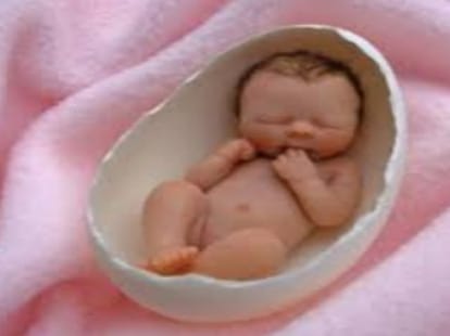 Embarrassing! delivery In the toilet hospital , neonatal died