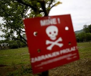 army destroyed 22 minefields at loc