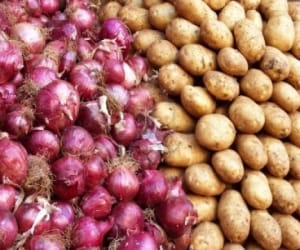 Onion-Potato Stalls in Chandigarh Today 
