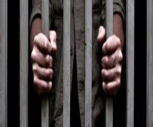 Fraud murder cases of greater noida.