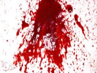 Husband murdered wife and son