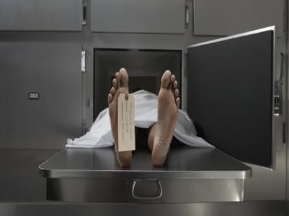 sensation: 5 bodies found in canal 