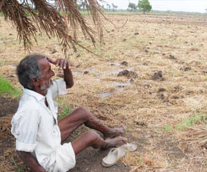 Arbitrary overtaking the plight of farmers officers