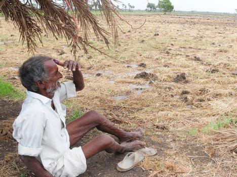 farmers helpless due to drought