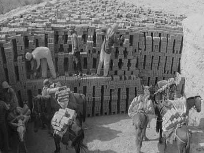read painful story of odisha's labour