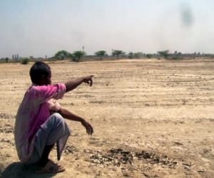 government may increase agri insurance limit