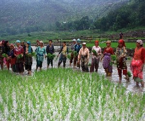 Farmer said: assurances in writing, we pledge to lift