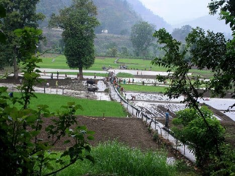 Floriculture parks will waste organic fertilizer