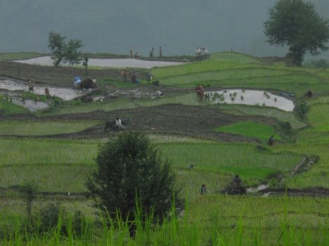 tarachand aware farmers about government schemes