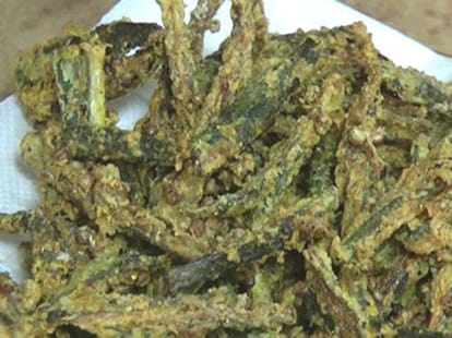 insacts in railway food