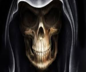 Male Skeleton found hanging with tree in solan