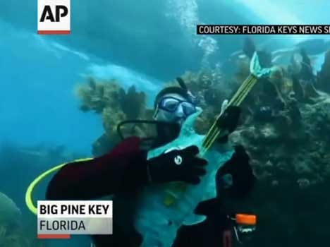 underwater music concert