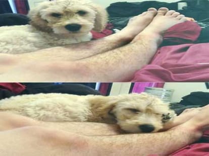 women post pics of their unwaxed legs 