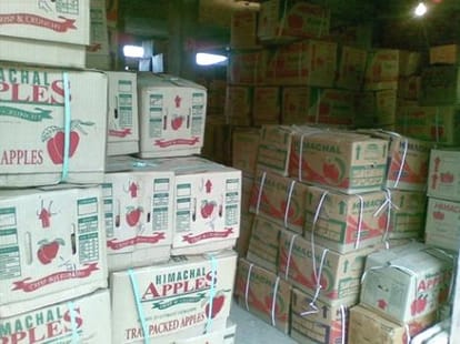 apple packing: producers raised question on govt decision