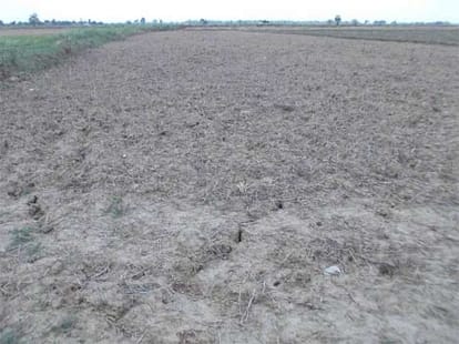 UP govt wants help from central to face drought.