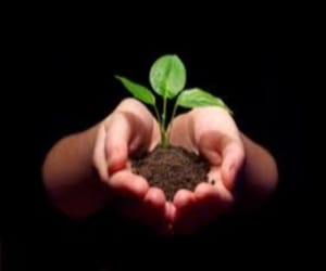 Planting Awareness Campaign started in shimla