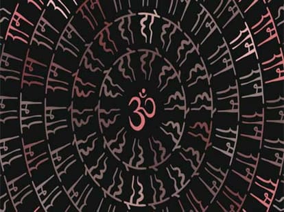 student raise voice in favour of sanskrit.